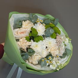 Gentle Flowers Zvezda