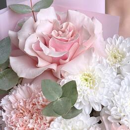 Beautiful Flower🌷
