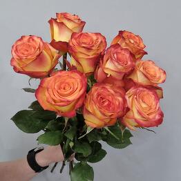 Экзотика Flowers