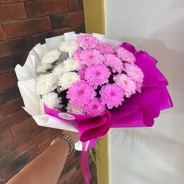FimFlowers 