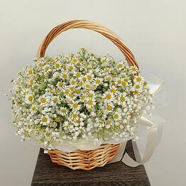 magazinflowers