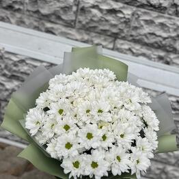 Cvetochniy gorod