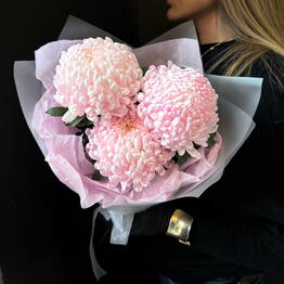Magic flowers 