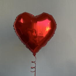 Solovei Balloon
