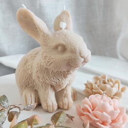 Safonova Home Decor