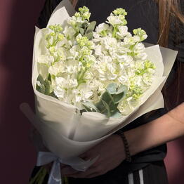 JOY FLOWERS (Радость цветов)