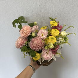 vio flowers