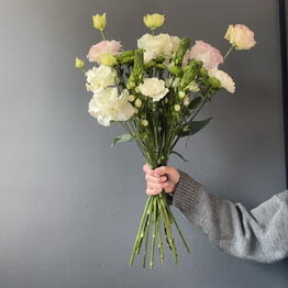 Sofia Flowers