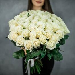 Floristica