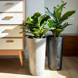 plants.nsk&kashpo_gorshok
