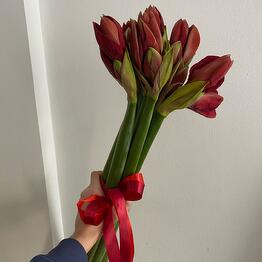 Ц В Е Т К Е В И Ч