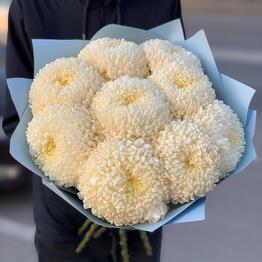 Flowers Mania