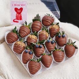 CHOCO.CO