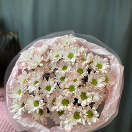 Magnolia_Flowers