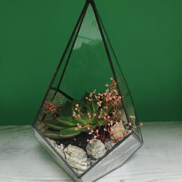 Florarium