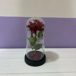 Alive Flowers