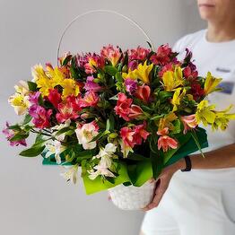Цветы+подарки