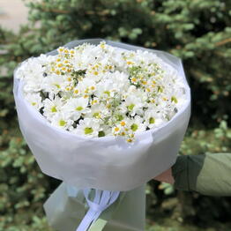 FimFlowers 