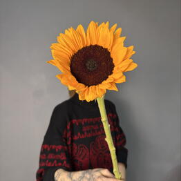 Flowers to bee