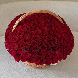 Lovely flowers