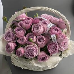 Bloom.by.bar