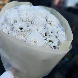 Дом флористики "В7ЦВЕТЫ"