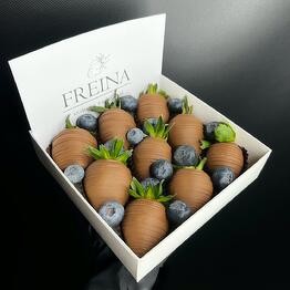Freina