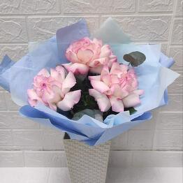 Liliya Flowers
