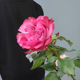 RI FLOWERS