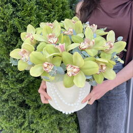 Royal Flora