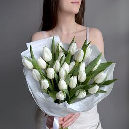 Колибри