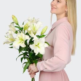 Новаторская Союзцветторг