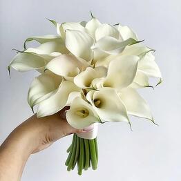 Bloom Boom