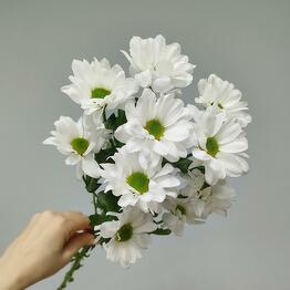 Flowers_malysheva