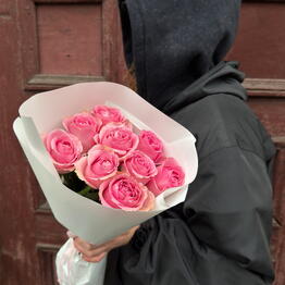 Pion_Spb