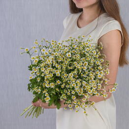 I Love cveti на Красном