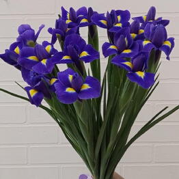 Beautiful Flowers