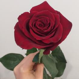 Цветы for you