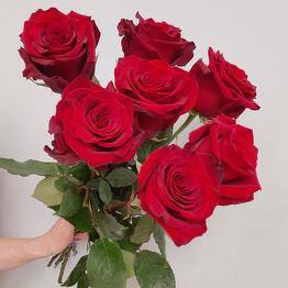 Экзотика Flowers
