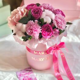 Mary Lu