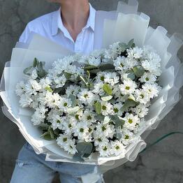 База Цветов Цена Одна