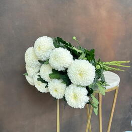 BBFlowers