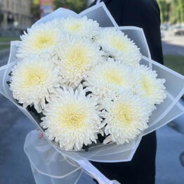 Цветочная Студия