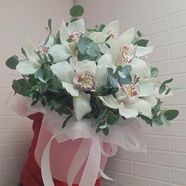 Beautiful Flowers