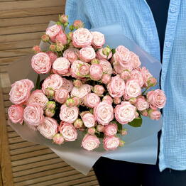 Lady Rose_flowers