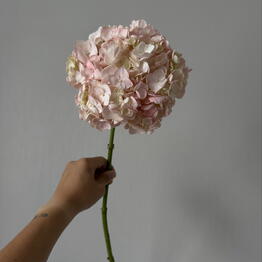 17flowers
