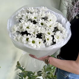 Белфлорист