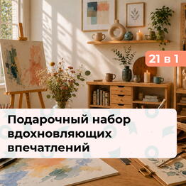 bonodono SPB