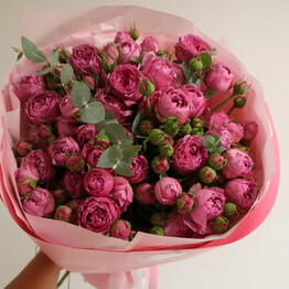 Why Not Flowers