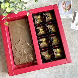 Frau Cocoa